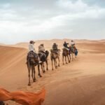 Camel Trek Experience