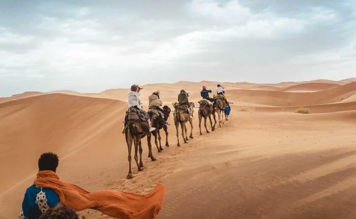 Camel Trek Experience