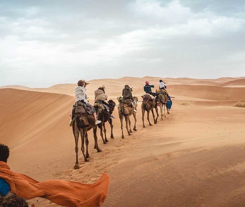 Camel Trek Experience