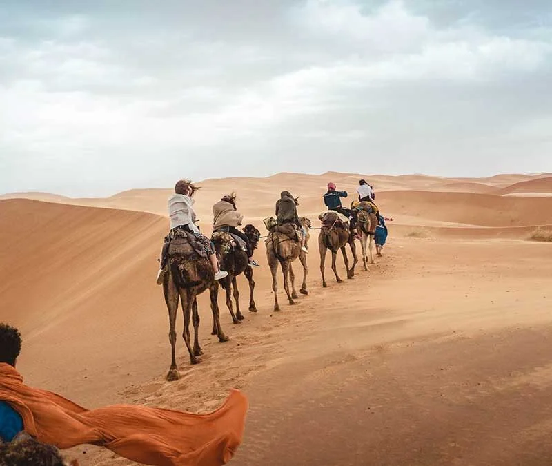 Camel Trek Experience