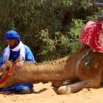 Camel Trek Extreme Sport 2 nights in Erg Chebbi