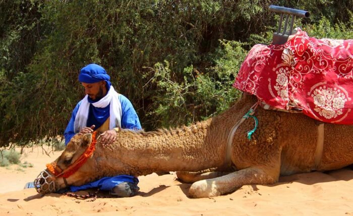 Camel Trek Extreme Sport 2 nights in Erg Chebbi
