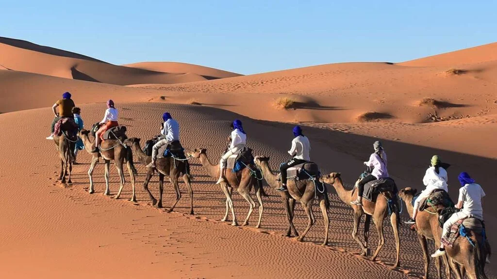 Camel Trekking 1 night in Erg Chebbi