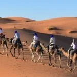 Camel Trekking 1 night in Erg Chebbi