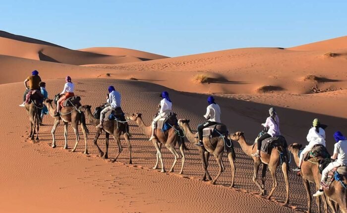 Camel Trekking 1 night in Erg Chebbi