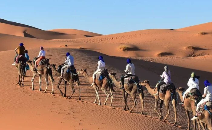 Camel Trekking 1 night in Erg Chebbi