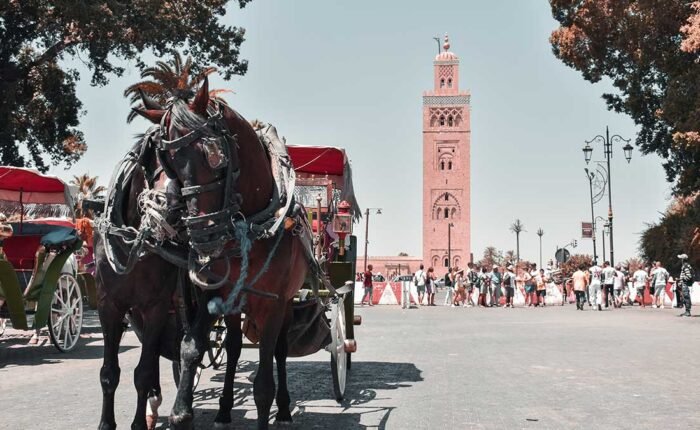 Fes to Marrakech Desert Tour