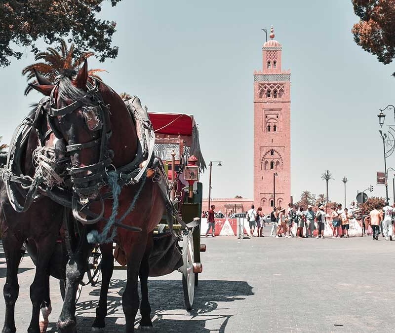 Fes to Marrakech Desert Tour