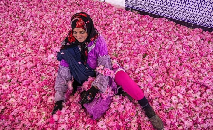 Fes to Marrakech Sahara Desert Tour