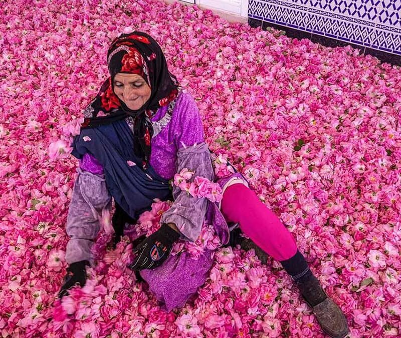 Fes to Marrakech Sahara Desert Tour