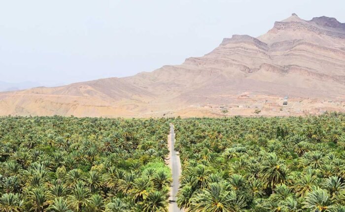 Marrakech to Fes Sahara Tour