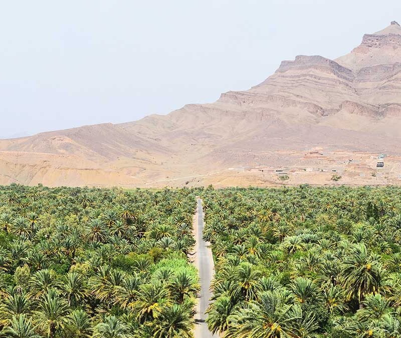 Marrakech to Fes Sahara Tour