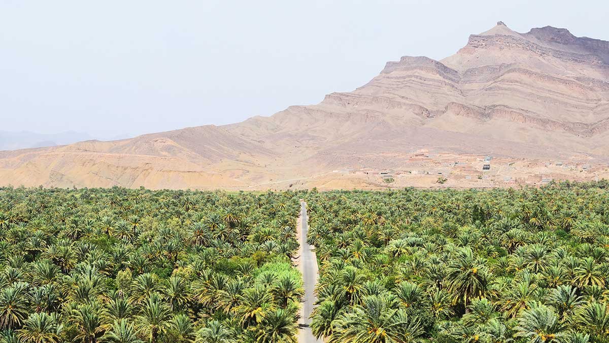 Marrakech to Fes Sahara Tour