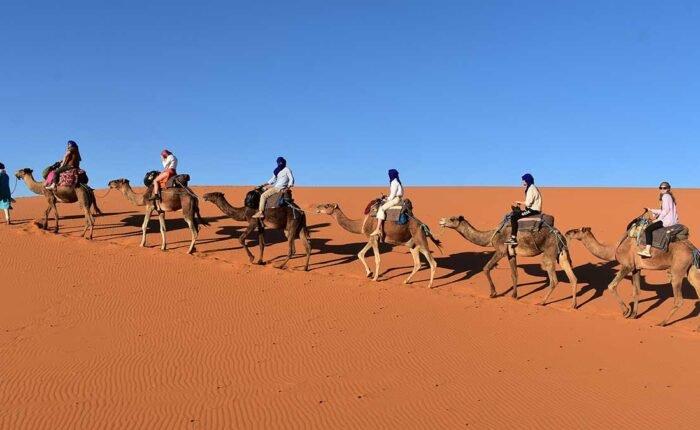 Morocco Desert Tour from Marrakech