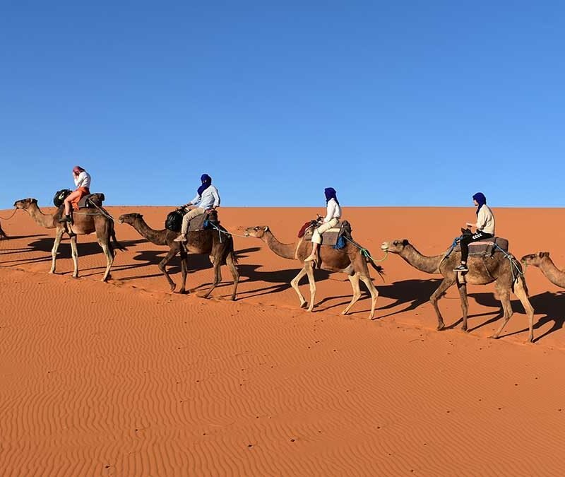 Morocco Desert Tour from Marrakech