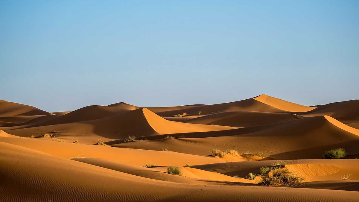Sahara Desert Dunes of Morocco